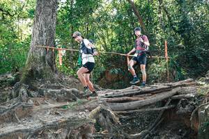 BIB: 
                            <button type="button" onclick="openModal(27744476)" class="btn btn-primary btn-sm float-right btn-popup" data-toggle="modal" data-target=".modal-high-quality">
                        <i class="fas fa-shopping-cart"></i> Add to Cart
                    </button>
                                            <button type="button" onclick="isThisMe(27744476, true)" class="btn btn-success btn-sm float-right btn-popup btn-isme hidden" data-toggle="tooltip" data-placement="bottom" title="นี่คือรูปของคุณใช่ไหม คลิกที่นี่เพื่อเอาเข้าอัลบั้ม">
                        <i class="fas fa-plus"></i> Add to album
                    </button>
                    <button type="button" onclick="isThisMe(27744476, false)" class="btn btn-warning btn-sm float-right btn-popup btn-isnotme hidden">
                        <i class="fas fa-ban"></i> Remove from album
                    </button>